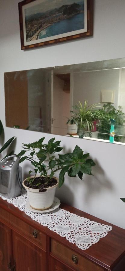 Apartmán Atico La Guardia Exteriér fotografie